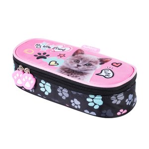 Iskolai tok Cat-1