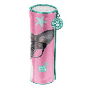 Iskolai tok Csivava szemüvegben, kerek-3