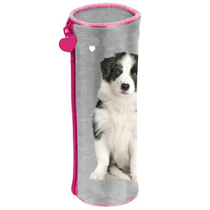 Iskolai tok Kutya és Macska -3