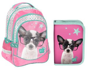 Iskolai szett Csivava szemüveggel-1