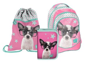 Iskolai szett Csivava szemüveggel, tolltartóval-1