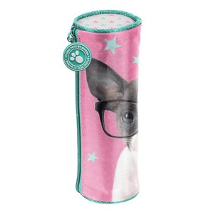 Iskolai szett Csivava szemüveggel, tokkal-5