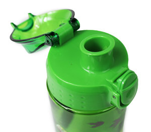 Iskolai szett Dino (hátizsák, tolltartó, táska + üveg)-11