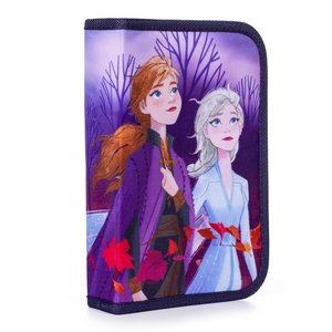 Iskolai készlet Frozen-8