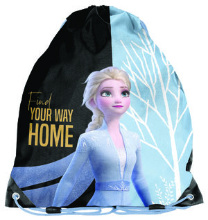 Készlet Frozen Find your way home-5
