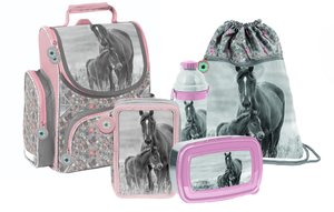 Iskolai szett Lovak, szürke-rózsaszín 5 darabos-1