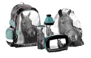 Iskolai szett Ló, fekete, 5 darabos-1