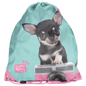 Hátizsák Csivava fényképezővel -1