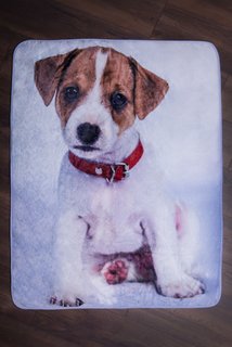 Jack Russell Terrier mikroflanel takaró-2
