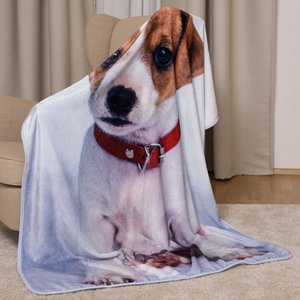 Jack Russell Terrier mikroflanel takaró-3