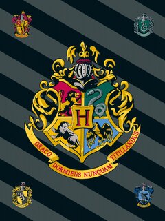 Fleecová deka Harry Potter HP067-1