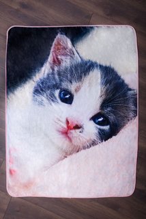 Mikroflanelová deka Koťátko-2
