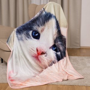 Mikroflanelová deka Koťátko-3