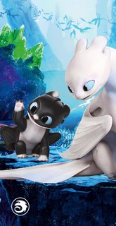 Törölköző How to train a dragon-1