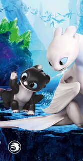 Törölköző How to train a dragon-1