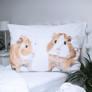 Ágyneművel együtt Tengerimalac-5