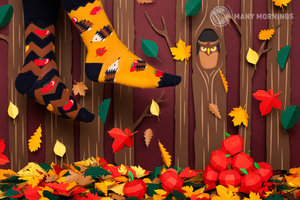 Gyermek zokni Apple hedgehog kids 23-26-2