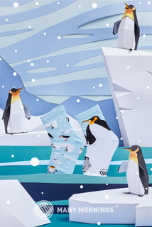 Gyermek zokni Frosty friends kids 23-26-2