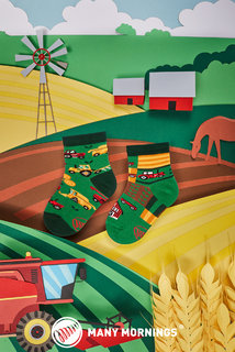 Ponožky dětské Happy harvest kids 23-26-2