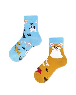 Gyermek zokni Playful dog kids 31-34-1