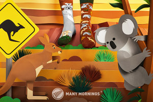 Klasszikus zokni Koality time 43-46-2