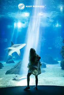 Klasszikus zokni Ocean life 35-38-4