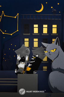 Ponožky nízké Black cat low 35-38-2