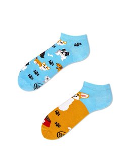 Alacsony zokni Playful dog low 43-46-1