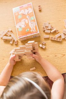 Eco-bricks 3in1 Africa-3