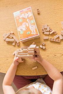 Eco-bricks 3in1 Africa-4