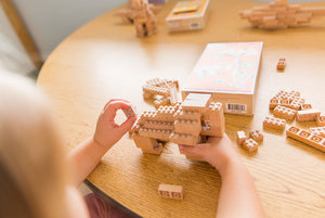 Eco-bricks 3in1 Africa-6