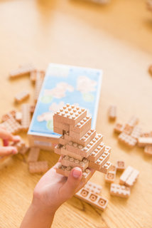 Eco-bricks 3in1 Egzotikus madarak-4