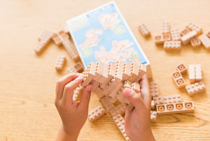 Eco-bricks 3in1 Egzotikus madarak-5