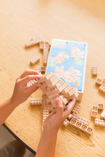 Eco-bricks 3in1 Egzotikus madarak-6