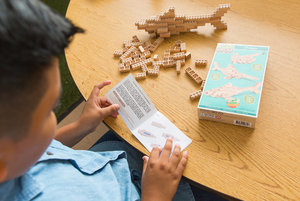 Eco-bricks 3in1 Óceánok-4