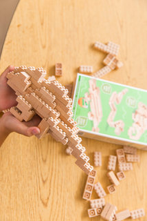 Eco-bricks 3v1 Hüllők-3
