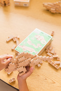 Eco-bricks 3v1 Hüllők-5