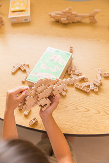 Eco-bricks 3v1 Hüllők-6