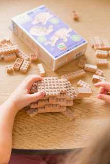 Eco-bricks 3in1 Háziállatok-5