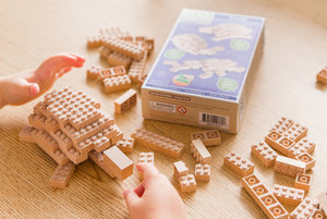 Eco-bricks 3in1 Háziállatok-6