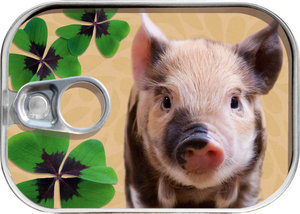 Pénz ón négylevelű lóhere és malacpersely-1