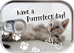 Money can Have a perfect day-1