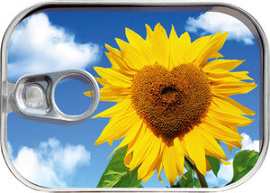 Pénzes doboz napraforgó-1