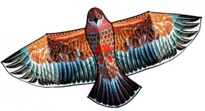 Létající drak Orel-1