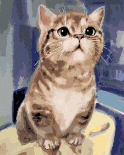 Festés számokkal - Kíváncsi macska-1