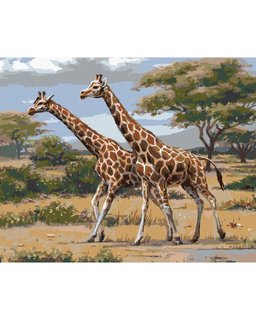 Festés a számok szerint Afrikai szafari zsiráfok-1