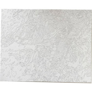 Festmény számok szerint Színes teknős 40 x 50 cm-2