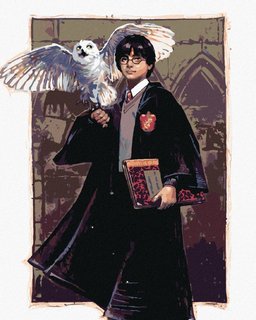 Festés szám szerint Harry Potter és Hedwig a Roxfortban-1