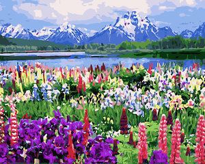 Festmény szám szerint Hegyek 30x40 cm-1