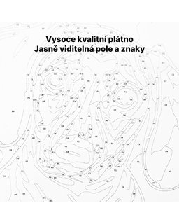 Festés a számok alapján Pillangó nő-6